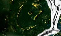 disqueon164-2.jpg